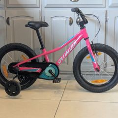 Specialized riprock
