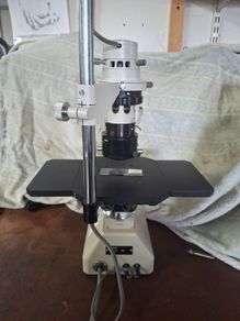 microscope