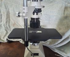 microscope