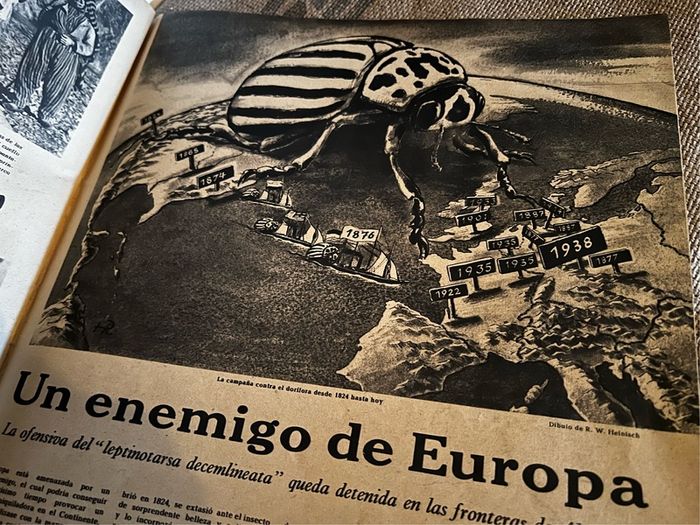 Ww2