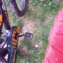 Kids 16 inch bike Image 7