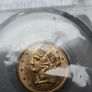 Gold , American 5 Dollar 1881 Image 2