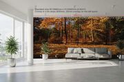 Non-woven Wall Mural / Photo Wallpaper