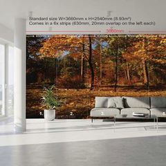 Non-woven Wall Mural / Photo Wallpaper