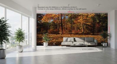 Non-woven Wall Mural / Photo Wallpaper
