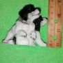 Spaniels Dimontti Italy Style Image 3