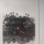 Black Church Print Studio 'Little Plants' 1/10 Image 2