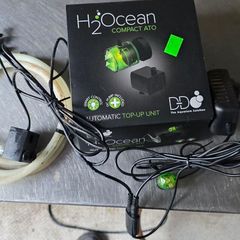 DD H2Ocean Compact AT