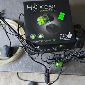 DD H2Ocean Compact AT