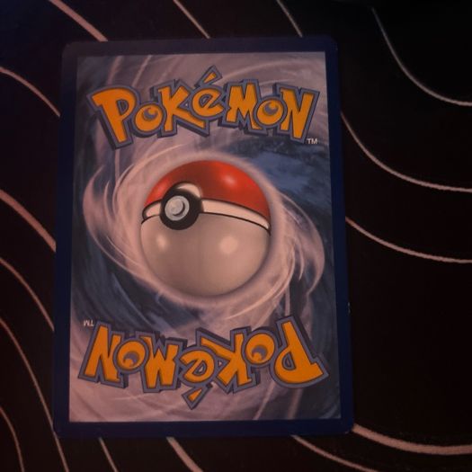 Pokemon card collection (binder included)