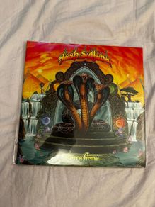Tash Sultana - Terra Firma