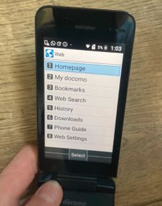 Kyocera Flipphone