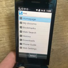 Kyocera Flipphone