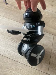 Robots cat and mouse and balancing with serving tray