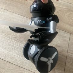 Robots cat and mouse and balancing with serving tray