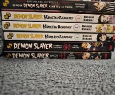 Manga Demon Slayer Books
