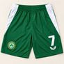 Ireland football kit Image 4