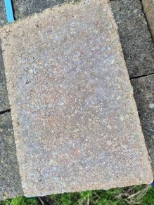 Paving Bricks