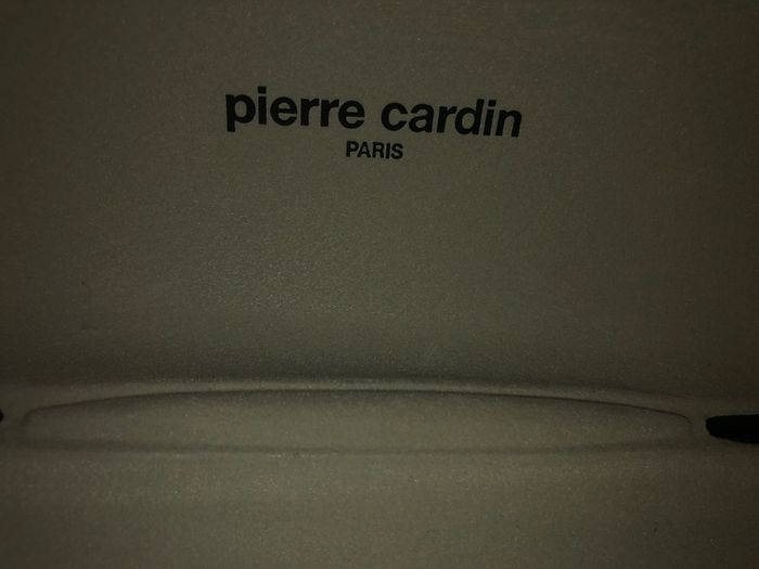 Pierre Cardin hard case sunglasses