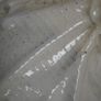 Antique Italian-Style Glazed Terracotta Relief - After Della Robbia Image 7