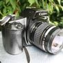 Canon EOS 1000f with 28-80mm Canon EF zoom lens Image 10