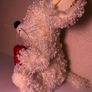 Teddy bear (soft toy) Image 3