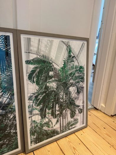 Framed Prints