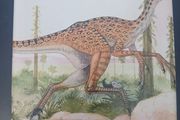 Evolution: The First Four Billion Years