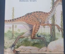 Evolution: The First Four Billion Years