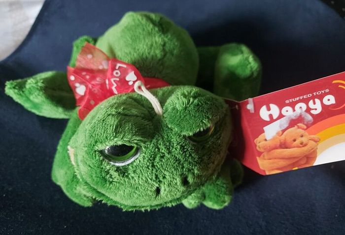Frog lovey / teddy / stuffed animal plushie