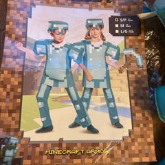 minecraft costume