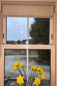 Blackout Roller Blinds