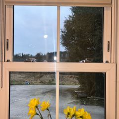 Blackout Roller Blinds
