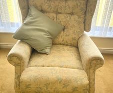 Celebrity brand electrical lift and rise recliner