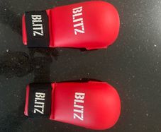 Karate Mitts/Gloves and Shin Guards