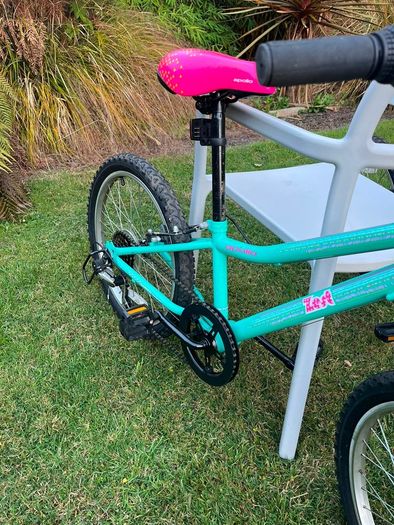 2 kids bikes