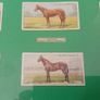 Players Cards,famous Irish bred horses Image 3