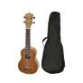 Soprano Ukulele with Case, Various Colours Image 6