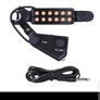 Acoustic Guitar Pick Ups Image 7