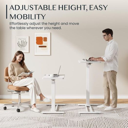 FLEXISPOT Adjustable Stand