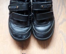 Geox Boys Black Shoes  (30) Size 12
