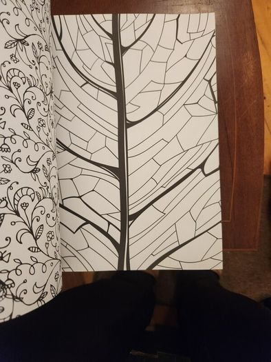 The Flowers And Nature Colouring Book.  Large Volume Paperback In Good Condition.