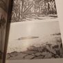 Jack B. Yeats / A Biography/ Hillary Pyle/ 1989 Image 10