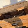 free Image 7