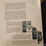 Time-out in Shekina: the Value of Symbols in Our Search for Meaning by Mccann, Catherine: First Edition Image 6
