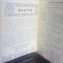 Royal Insurance Company Limited: Record of Sports 1911 Published by Royal Insurance Company Limited (HQ326) Image 5