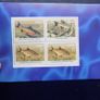 Ireland 2001.Freshwater Fish.Complete Four pane Stamp Booklet.MNH. Image 3
