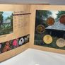 Ireland 2006 Beautiful Uncirculated Euro Coin Set Glenveagh National Park and Castle Co. Donegal Image 6