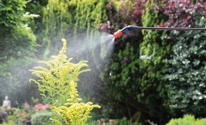 Pump Action Pressure Sprayer 5 Litre (FREE POSTAGE)