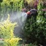 Pump Action Pressure Sprayer 5 Litre (FREE POSTAGE) Image 3